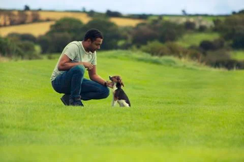Training a puppy Stock Photos