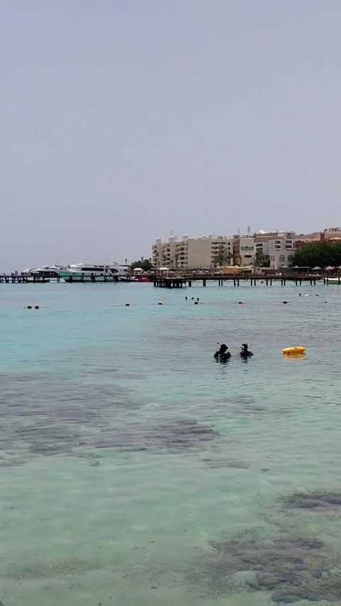 A training session of two scuba divers Stock Footage 336299723