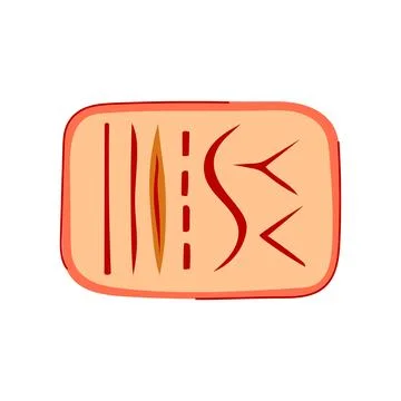 Training suture practice pad cartoon vector illustration Stock Illustration