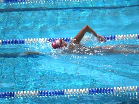 Training In A Swiming Pool Stock Footage 77146408
