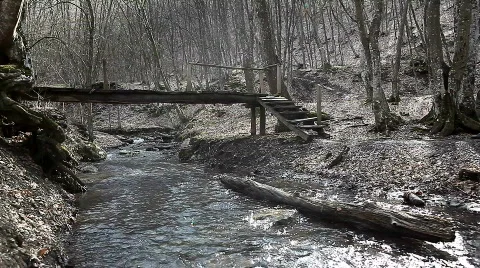 Training in the woods Stock Footage 666504