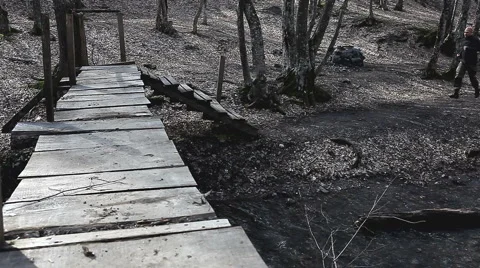 Training in the woods Stock Footage 1012892