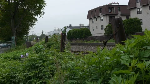 TrainPass02 Stock Footage