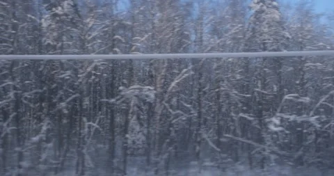 The train's path winds through woods, each tree an icy monument to winter's Stock Footage 253438913