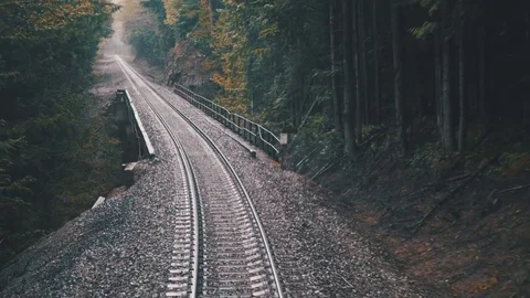Traintracks in forest Stock Footage