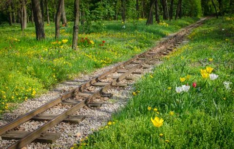 Traintracks through romantic forest Foto stock