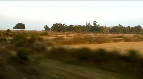 TrainView1 Stock Footage 375547