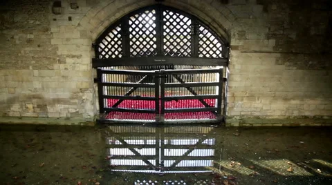 Traitor's gate from inside the Rower of London Vidéo 44672279