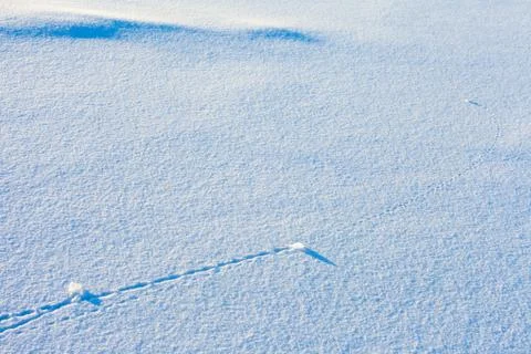 Trajectory lines on snow surface Stock Photos