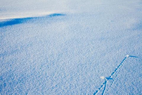 Trajectory lines on snow surface Stock Photos