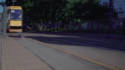 Tram and pigeons taking off in front of him Stock Footage 156934477
