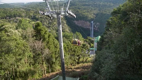 Tram at the Atlantic Forest Stock Footage 197938453