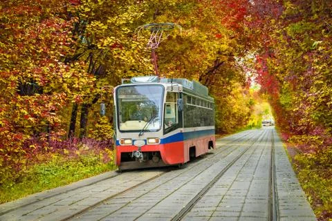 Tram going through the autumn park in Sokolniki Stock-Fotos