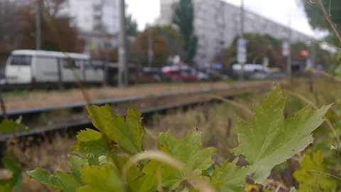 The tram leaves Video stock 76943633