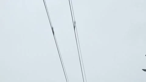 Tram lines against the sky Stock Footage 265013027