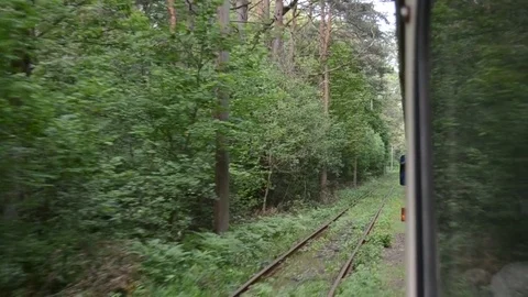 Tram moving in green forest Stock Footage 70841527