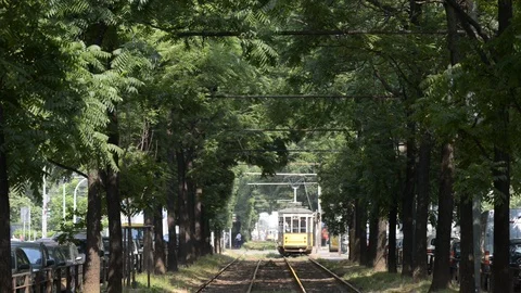 Tram number 33 Stock Footage 111329794