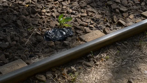 Tram passage on the rails Stock-Footage 111329841