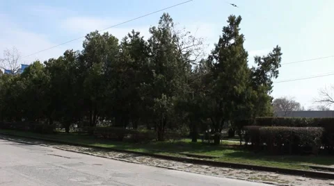 Tram passing a street Vídeo Stock 61589624
