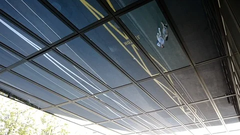 Tram Reflected in Window and Glass Roof Upside Down Vídeo Stock 115765417