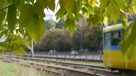 Tram through the foliage Video stock 76949894
