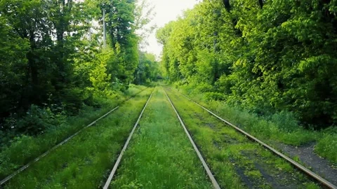 Tram tracks in the green forest Stock Footage 133593075