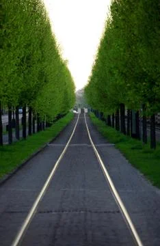 Tram tracks Stock Photos
