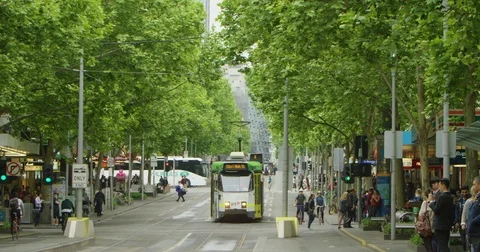 Tram on a tree-lined Melbourne street with pedestrians Vídeo Stock 85250883