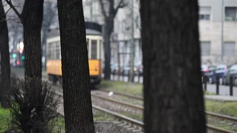 Tram typical of Milan passes between the trees of an avenue Stock Footage 71981653