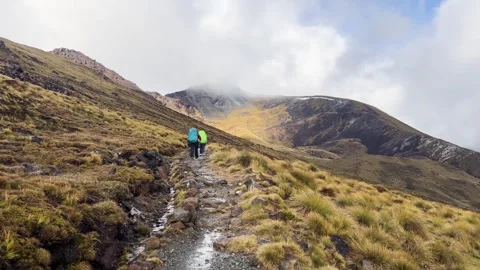 Trampers climbing the Kepler Track below cloud, Fiordland 스톡 동영상 346405650