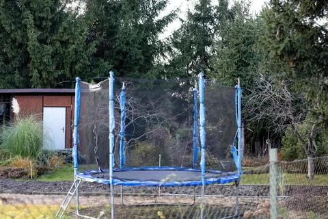 Trampoline set up in a backyard surrounded by trees during early evening Stock Photos