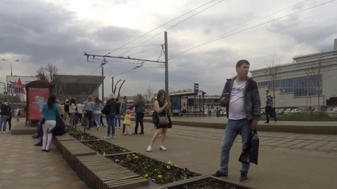 Trams and people At Stop On Summer Timelapse 動画素材 82050285