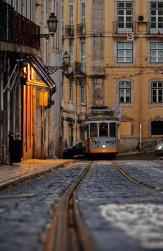 Trams back on the rails in Lisbon. 库存照片