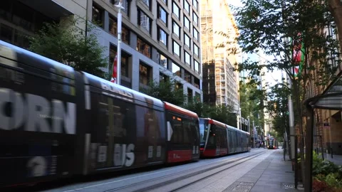 Trams light rail public transport in City of Sydney CBD george street, Australia Stock Footage 310661554