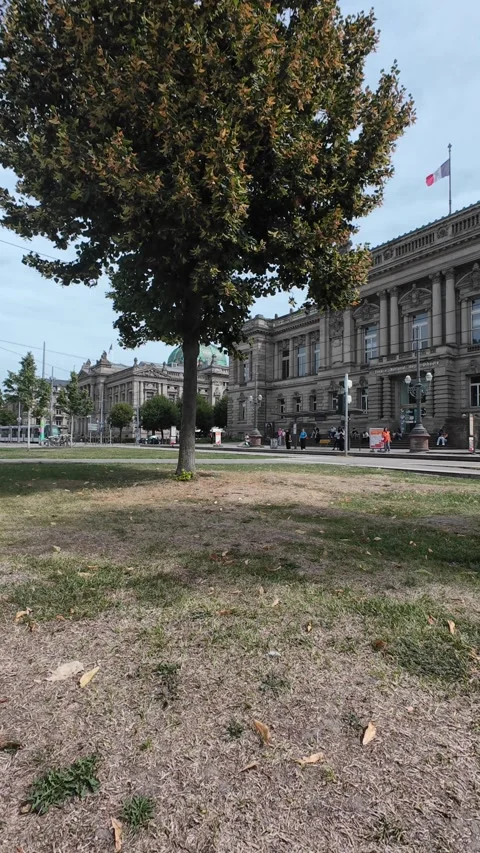 Trams moving through sunny streets of Strasbourg, France Stock Footage 344604456