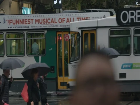 Trams on the street 스톡 동영상 76517445