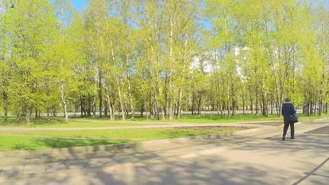 Trams at tram stop on spring day timelapse Stock Footage 82983875