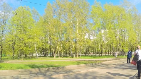 Trams at a tram stop in the spring timelapse Stock Footage 82983331