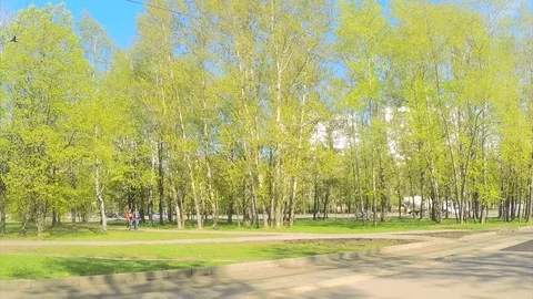 Trams at a tram stop in spring timelapse Stock Footage 82984870