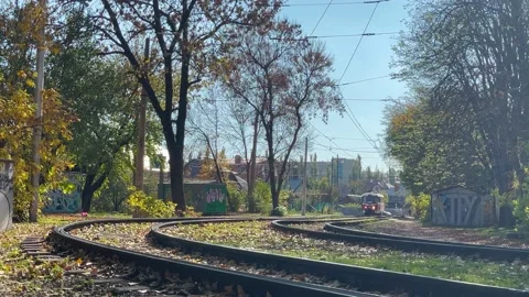 трамвай красный Stock Footage 163650682