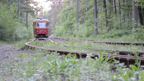 Tramway at forest Stock Footage 102241659