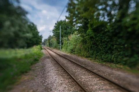 Tramway tracks in the forest Stock Photos