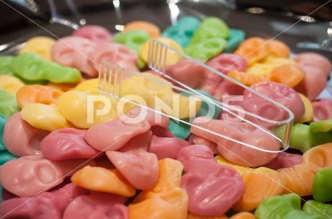 Tranditional candies in shaped dead head in confectionery store Stock Photos
