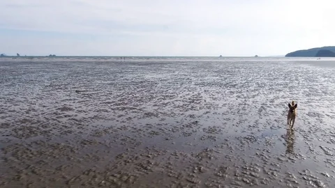 Trang sea Stock Footage 80064151