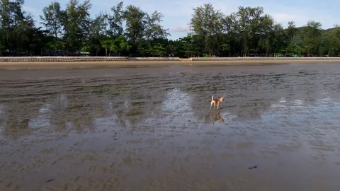 Trang sea Stock Footage 80067527