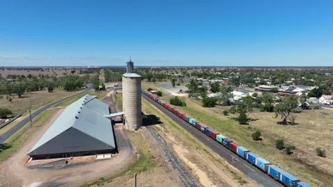 Trangie Stock Footage 321340630