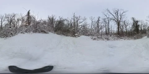 Tranquil 360° VR Winter Forest Experience Video stock 300808104