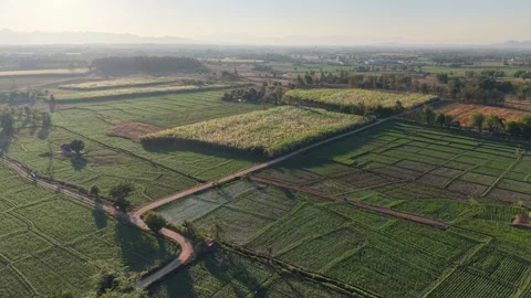 Tranquil Aerial Landscape of Rice Fields and Hills Stock Footage 326176245
