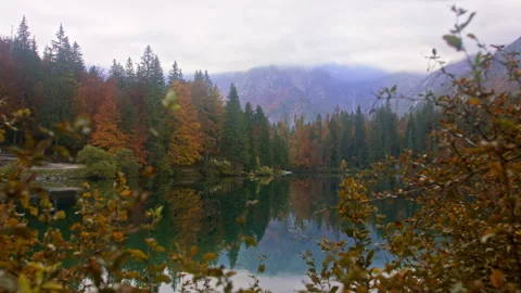 Tranquil Alpine lake reflecting the forest Stock Footage 259055118