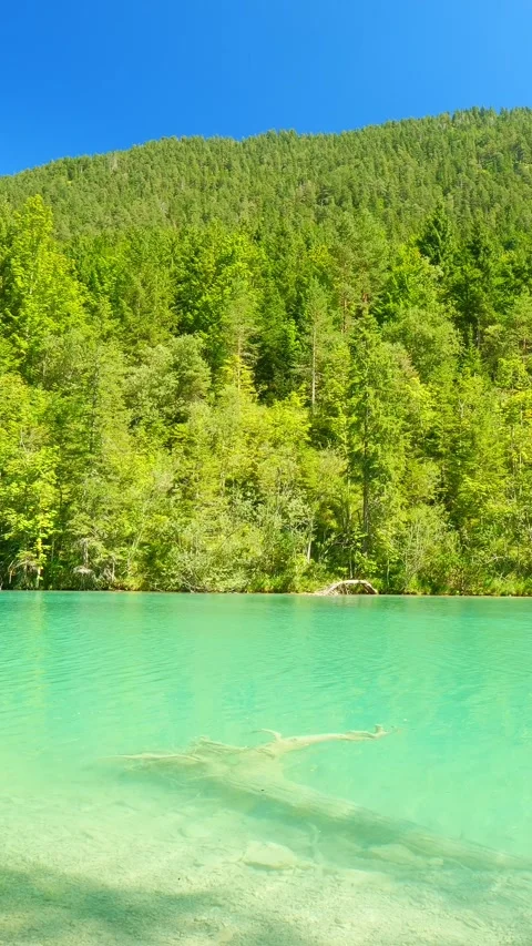 Tranquil Alpine Nature and Waterside Scenery at Little Plansee Lake  Hidden G Video stock 308304130